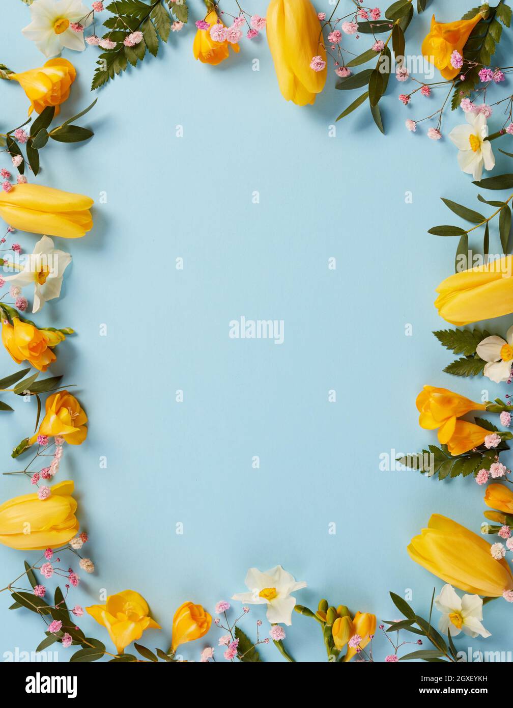 Spring flowers blue background hi-res stock photography and images - Alamy