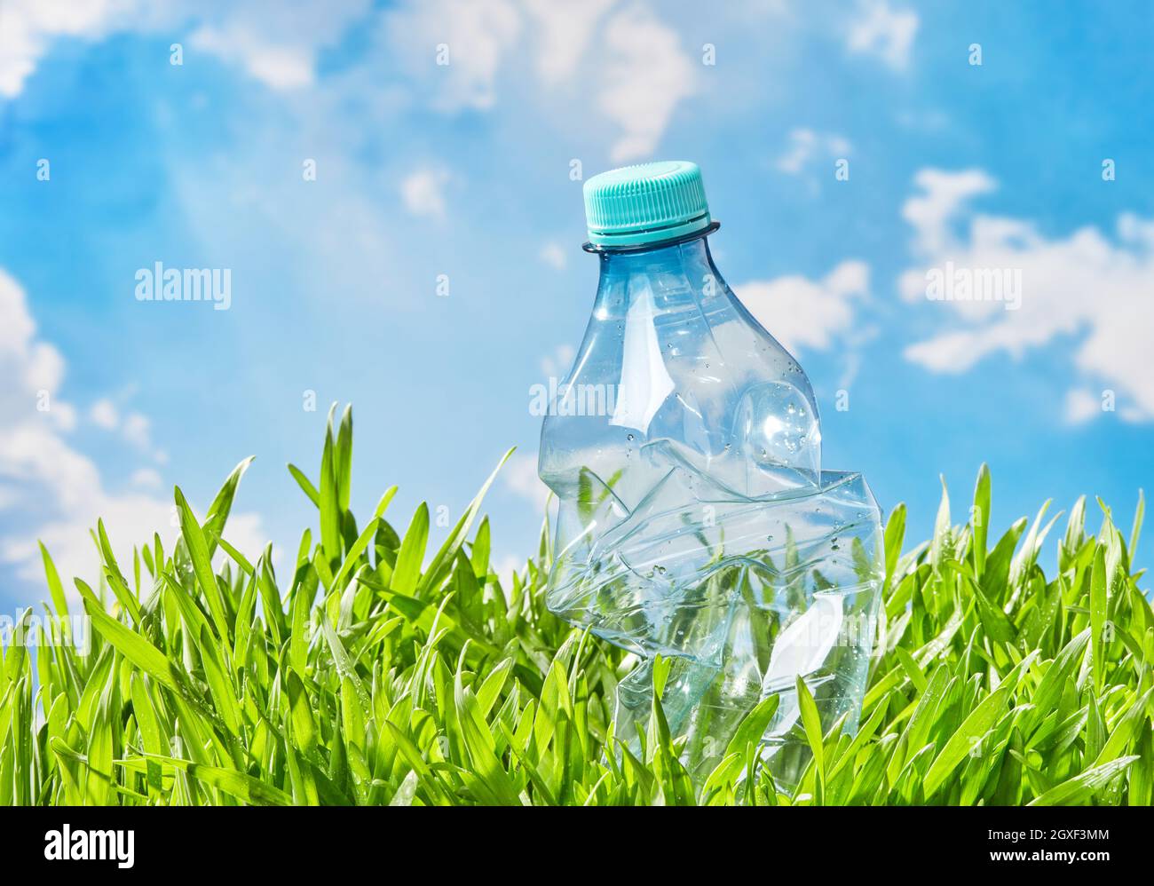 Water bottle in the grass Stock Photo - Alamy