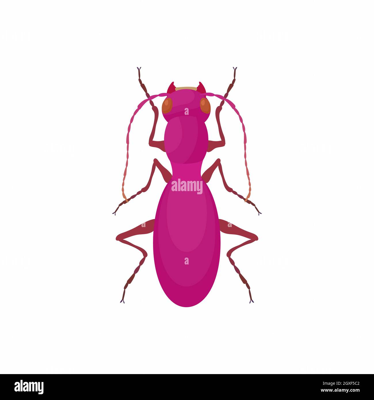 Bug icon in cartoon style isolated on white background Stock Photo - Alamy