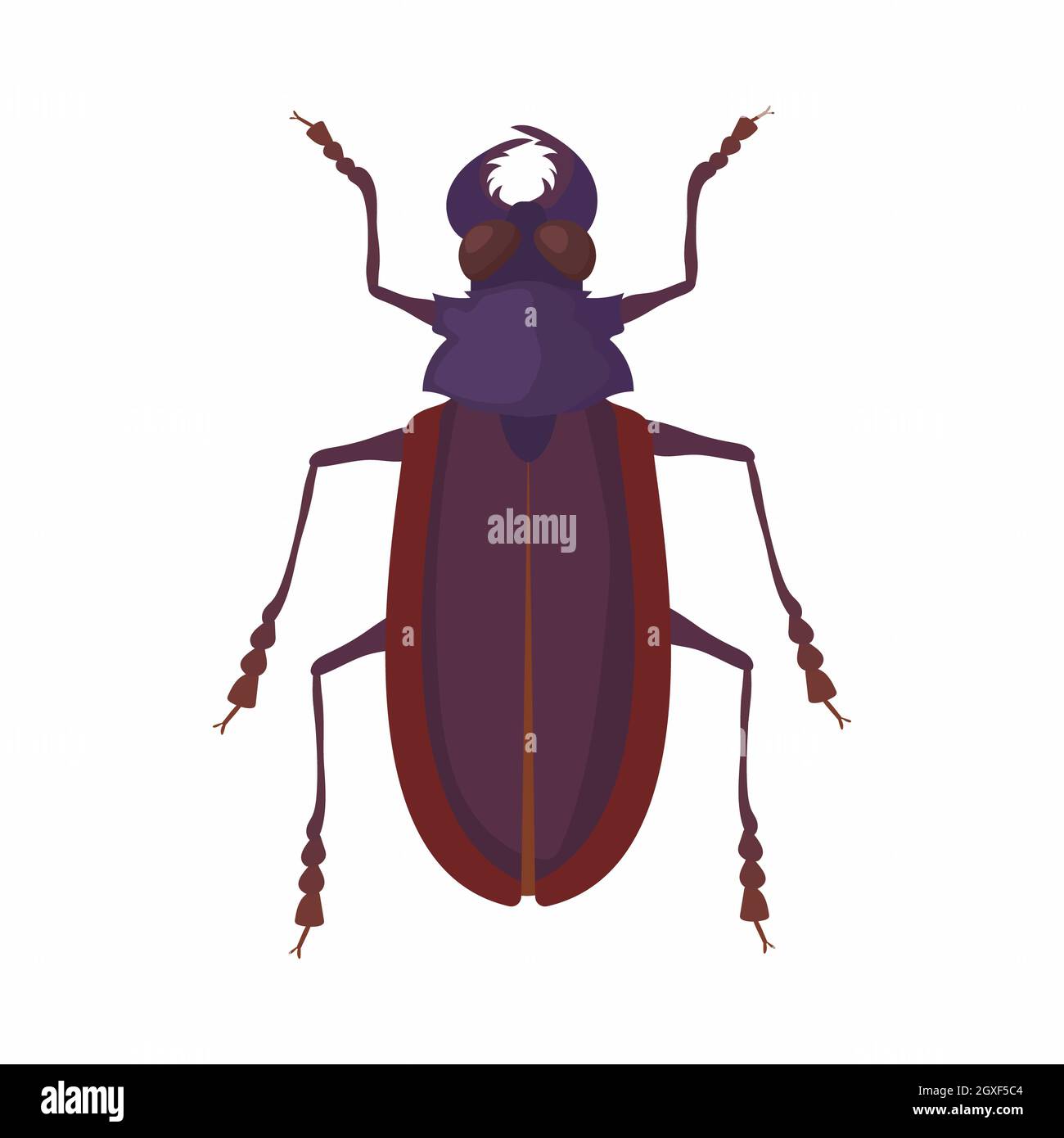 Bug icon in cartoon style isolated on white background Stock Photo - Alamy