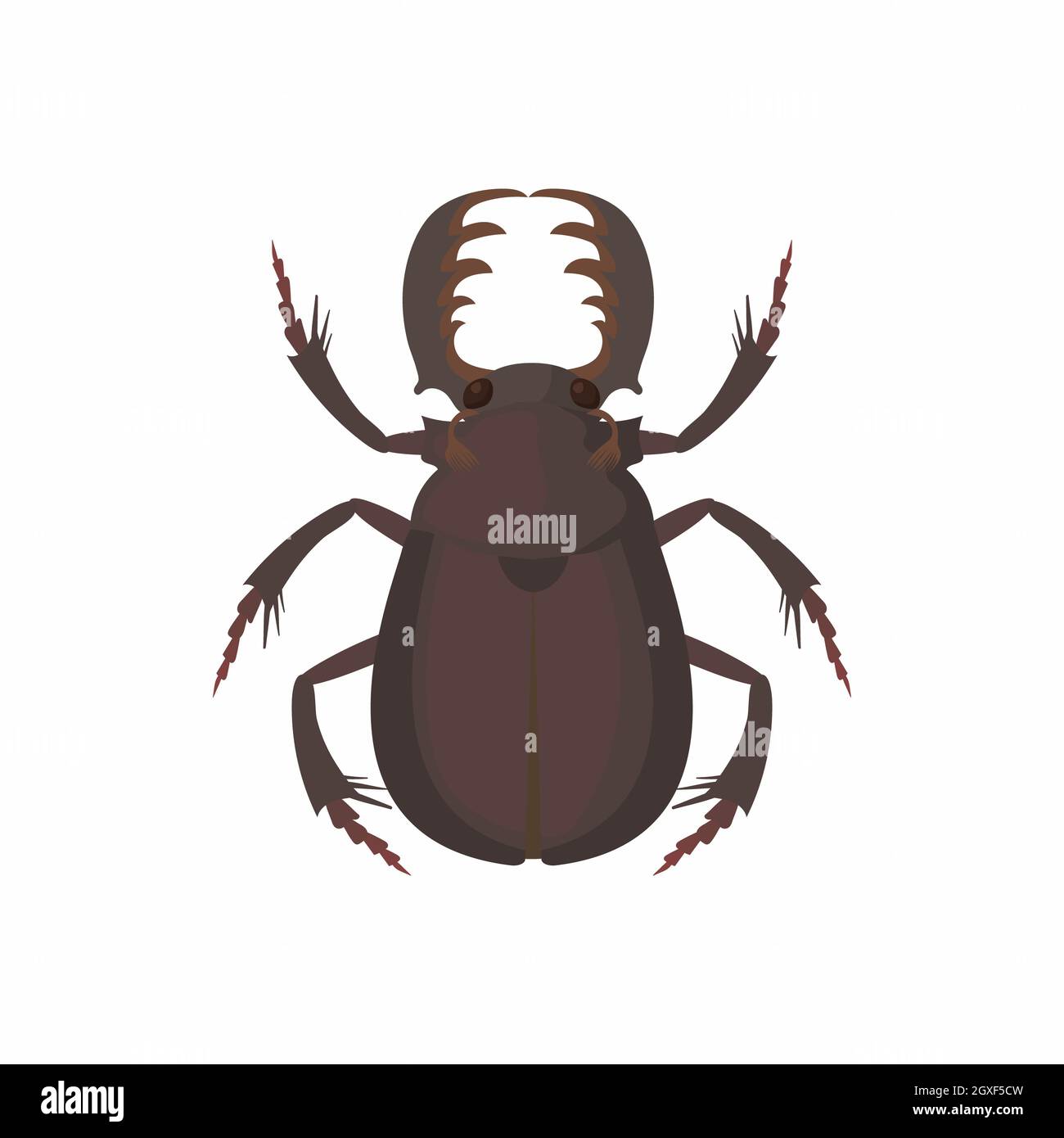 Bug icon in cartoon style isolated on white background Stock Photo - Alamy