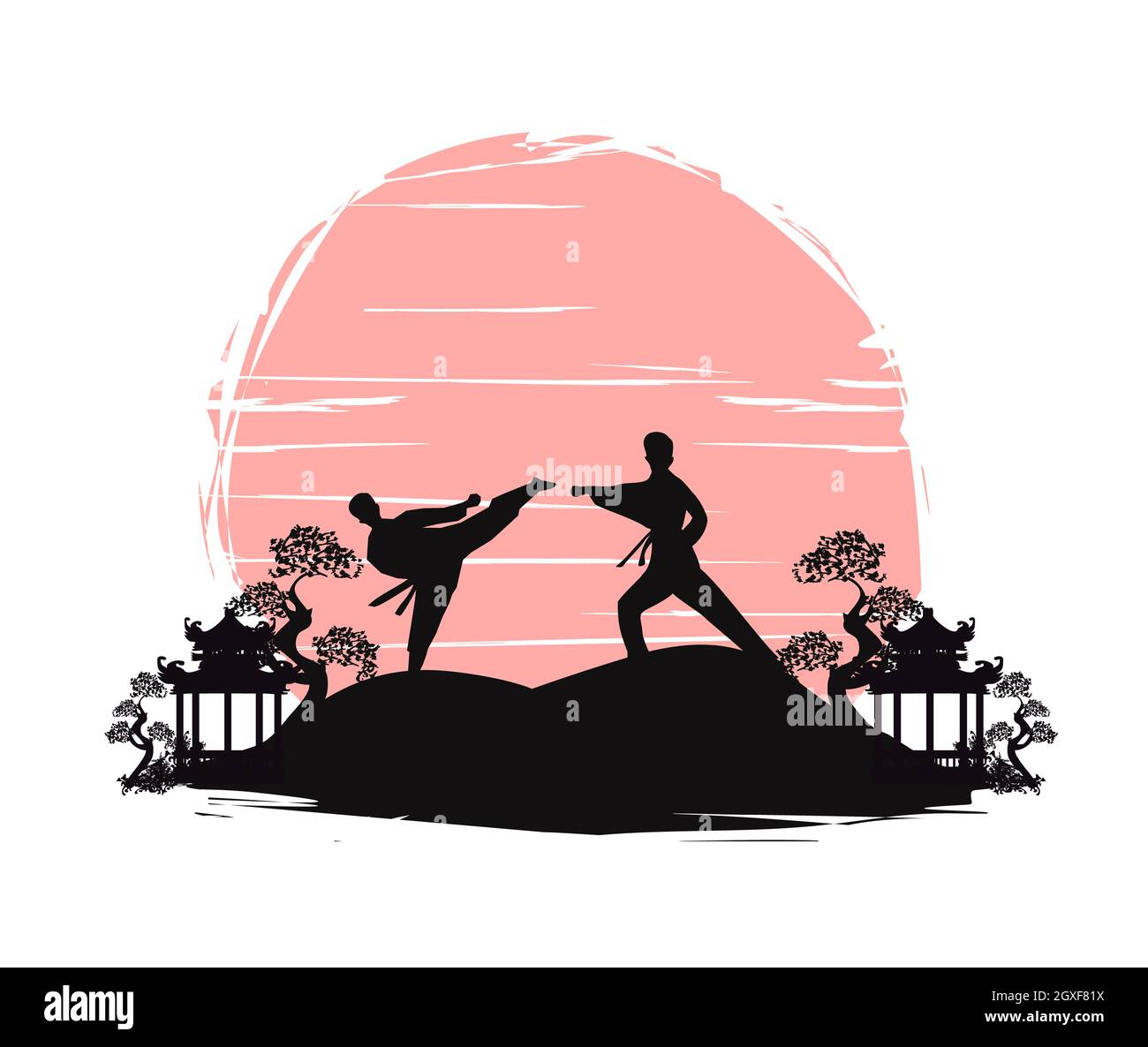 Active tae kwon do martial arts fighters combat fighting and kicking sport silhouettes illustration Stock Photo