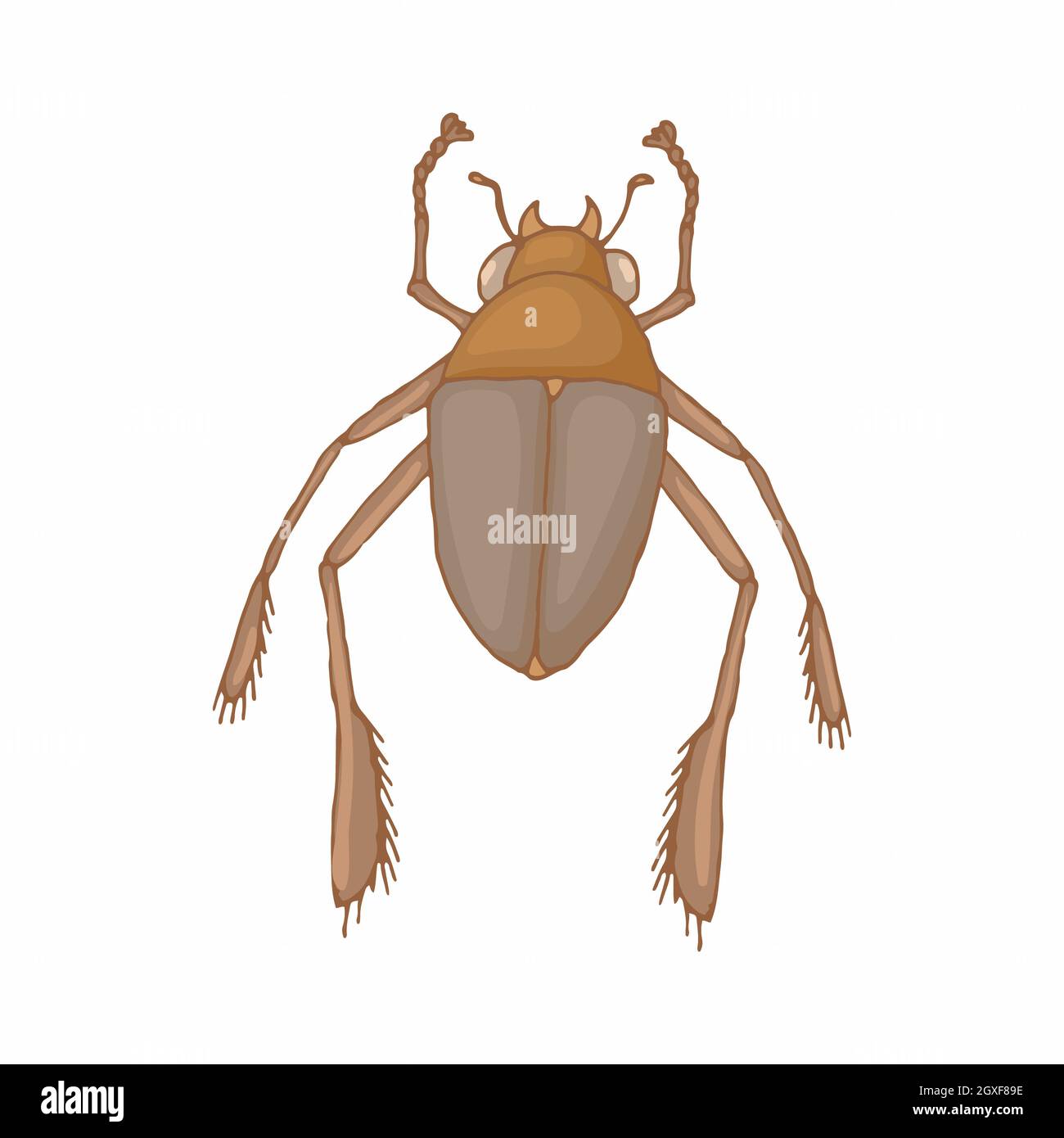 Insect bug icon in cartoon style isolated on white background Stock ...