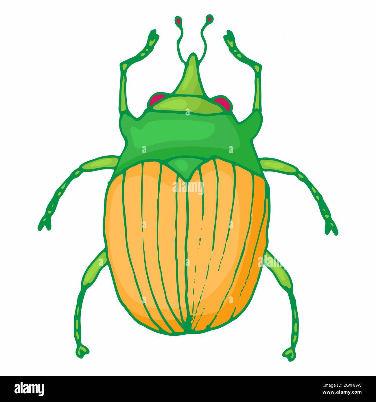 Insect bug icon in cartoon style isolated on white background Stock ...