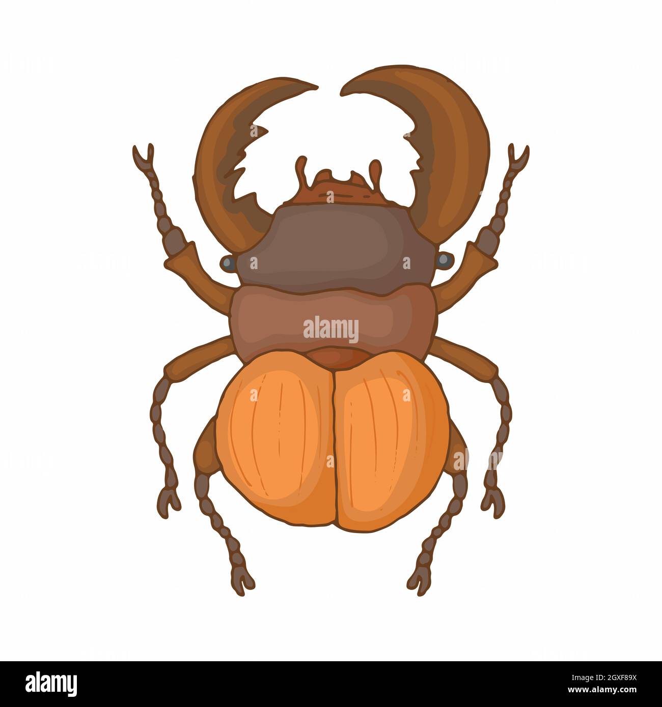 Insect bug icon in cartoon style isolated on white background Stock ...