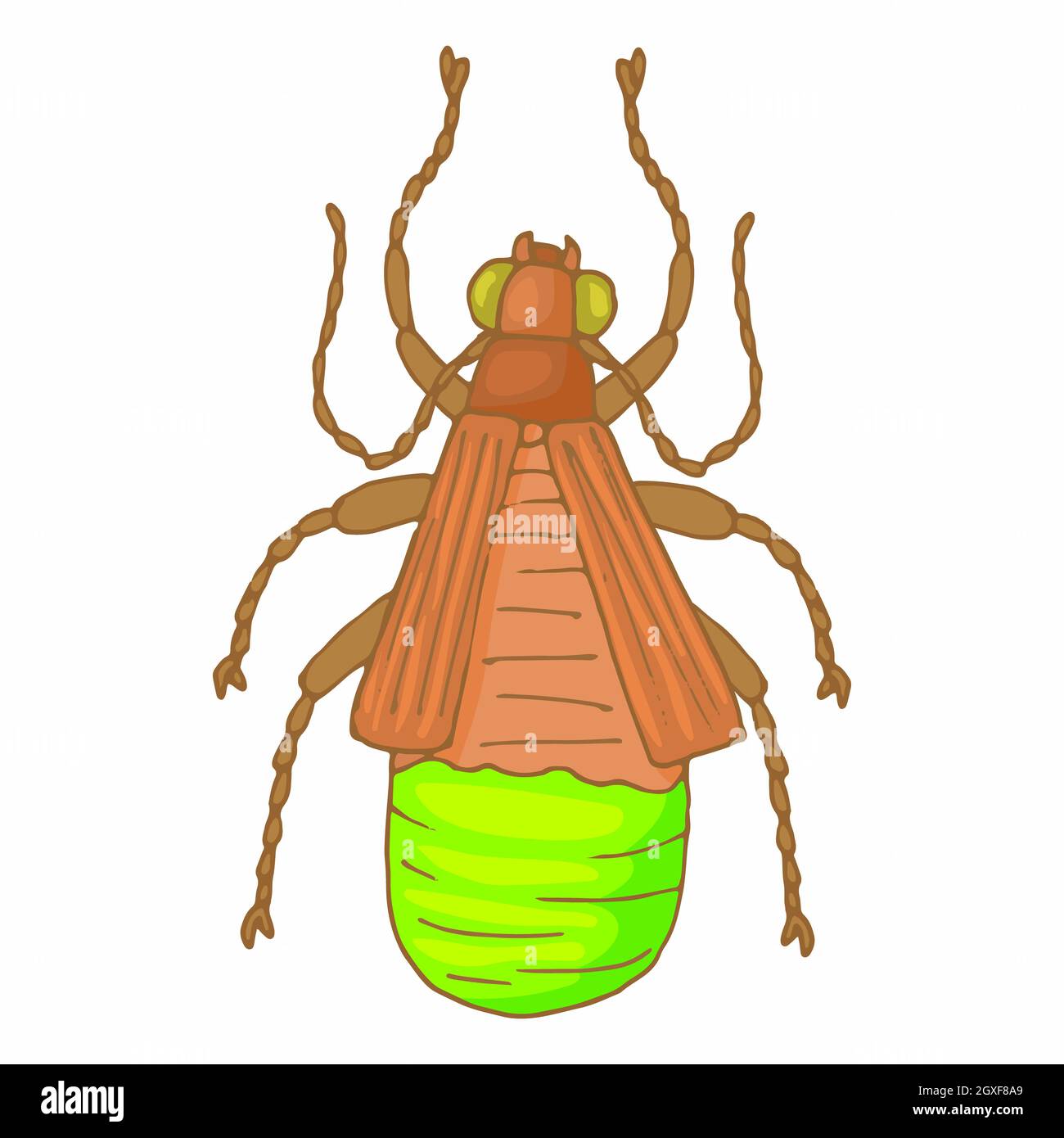 Insect bug icon in cartoon style isolated on white background Stock ...