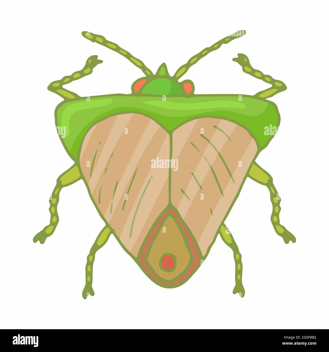 Insect bug icon in cartoon style isolated on white background Stock ...