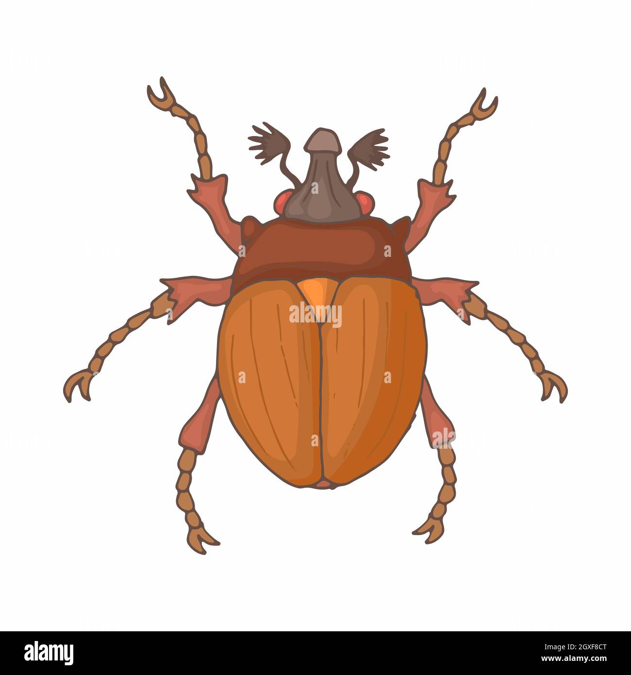 Insect bug icon in cartoon style isolated on white background Stock ...