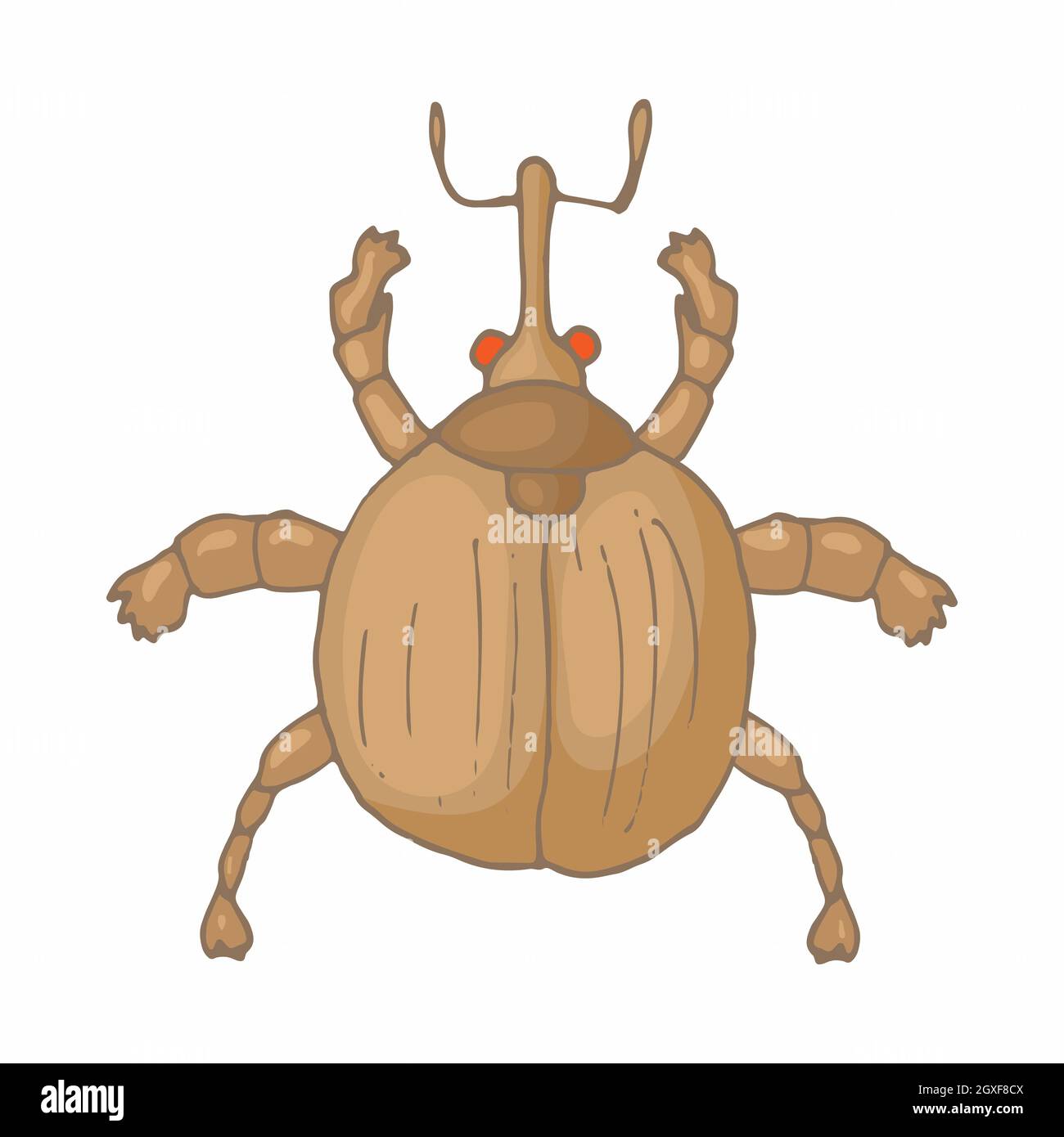 Insect bug icon in cartoon style isolated on white background Stock ...
