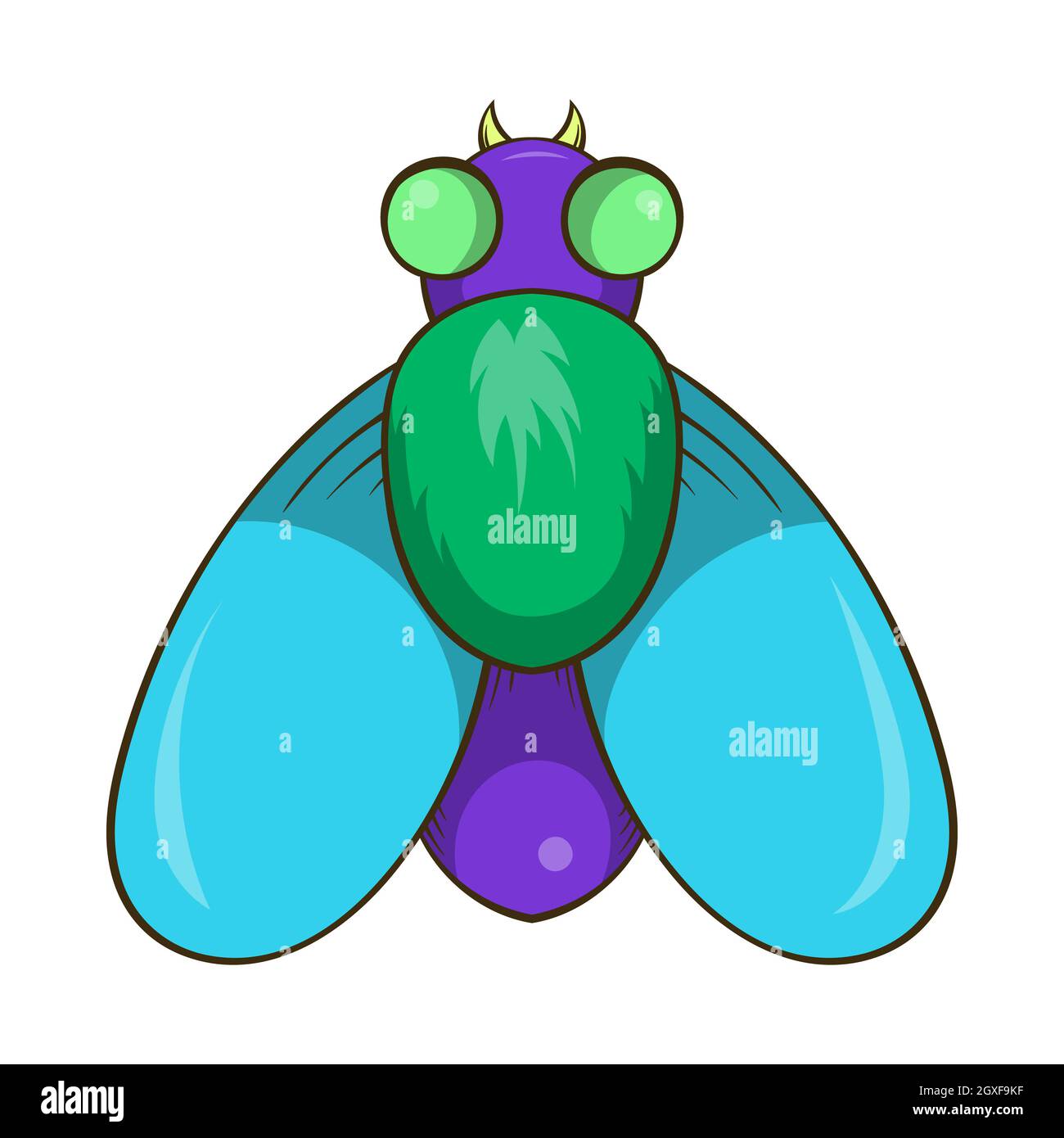 Fly icon in cartoon style isolated on white background. Insects symbol ...