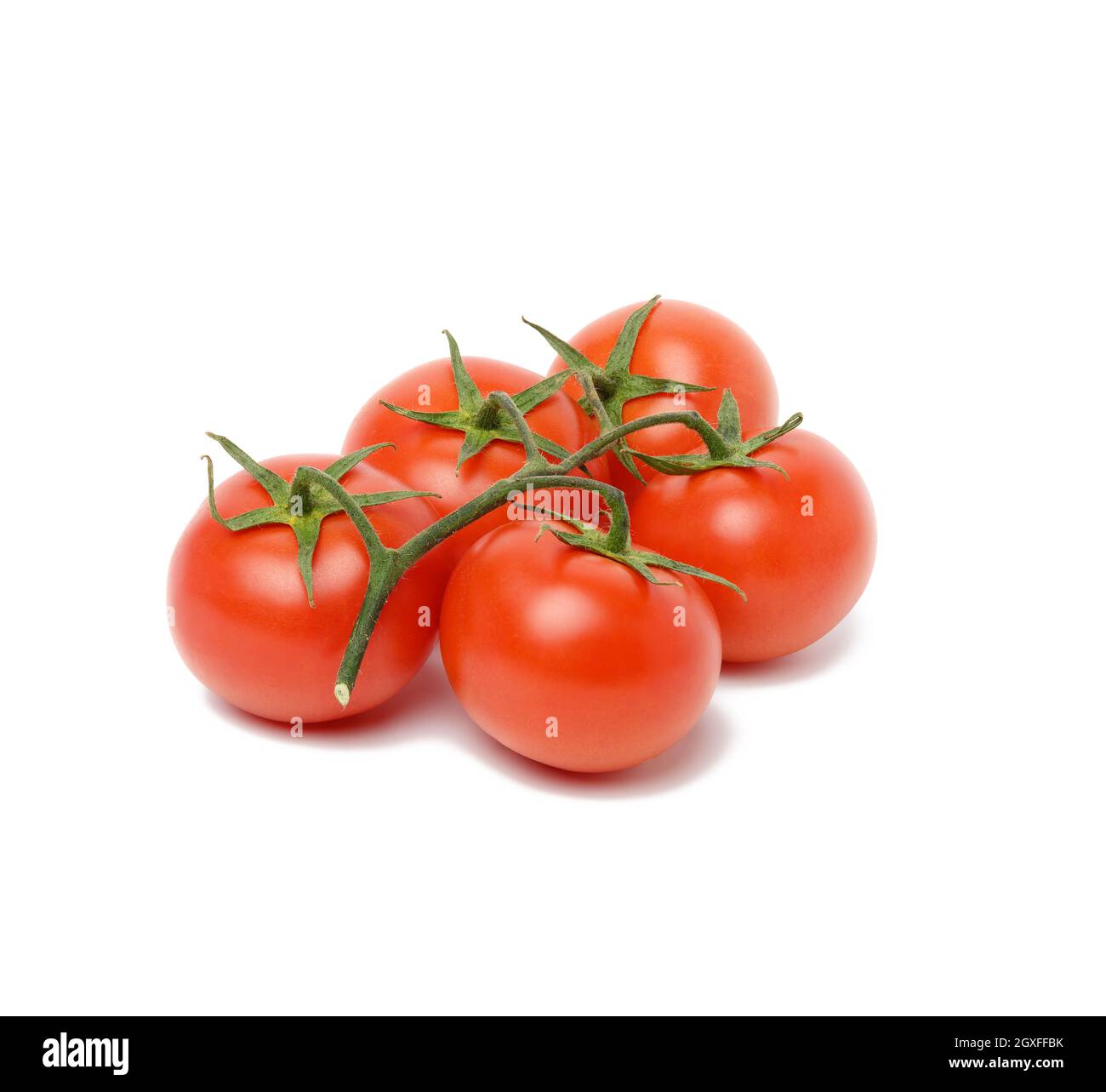 red ripe tomatoes on a green branch isolated on white background ...