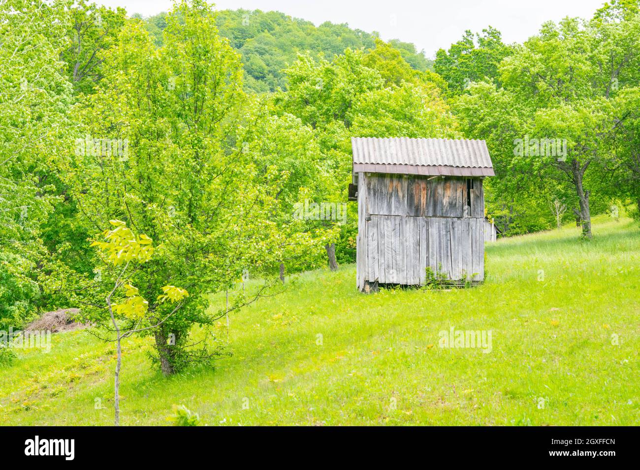View the old large wooden house which was abandoned in the grass and ...