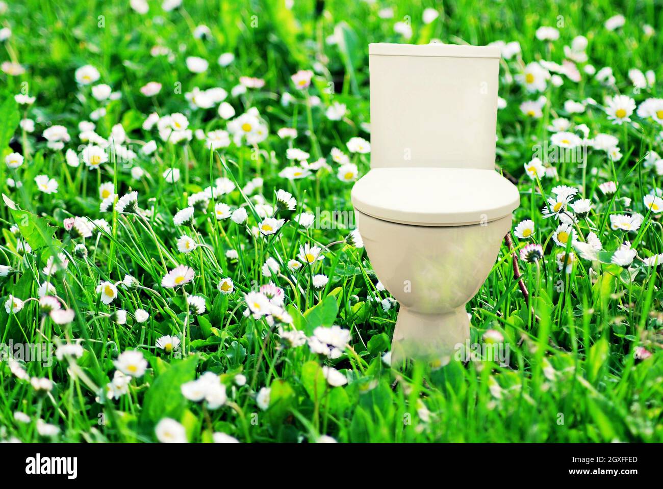 Abstract collage with fresh flush toilet bowl placed in the blooming
