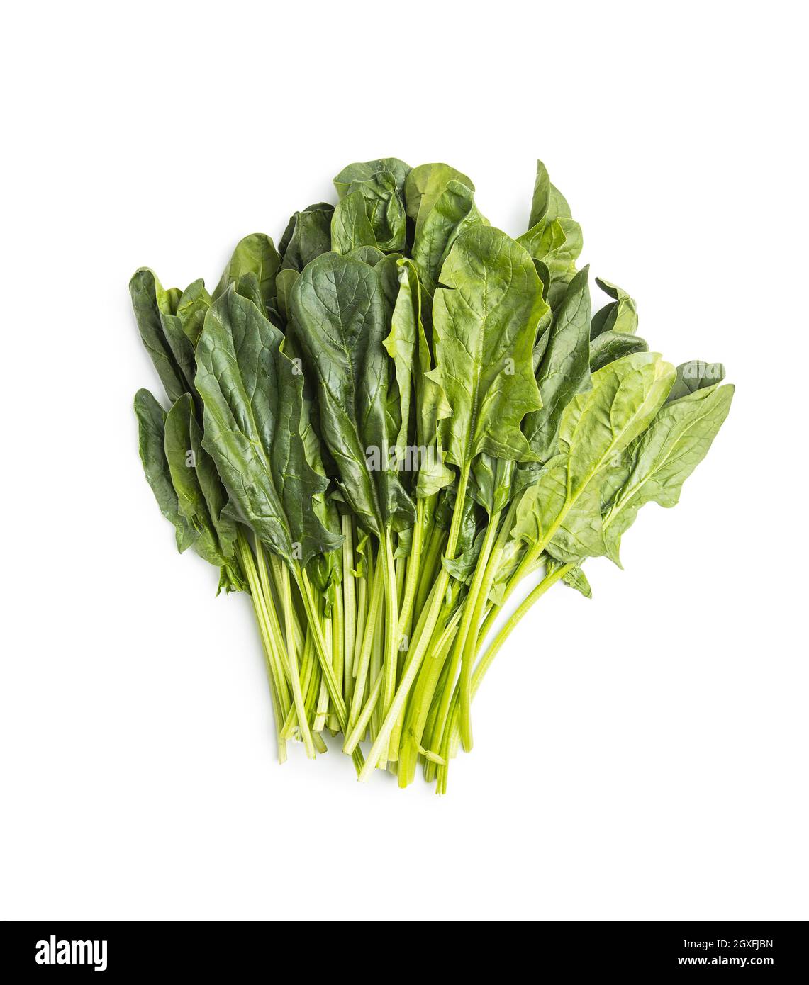 Green spinach leaves isolated on white background Stock Photo - Alamy