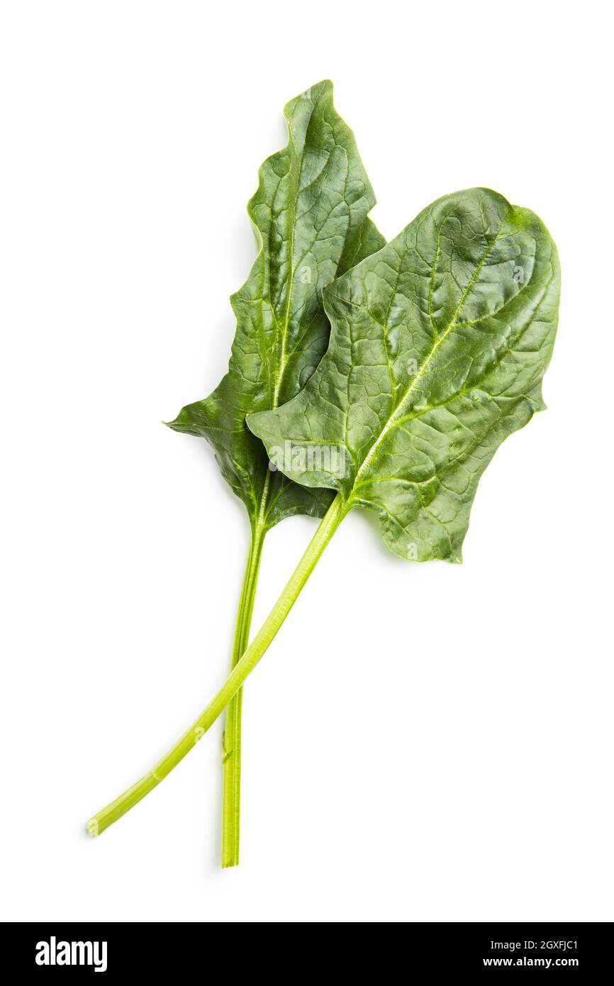 Green spinach leaves isolated on white background Stock Photo - Alamy