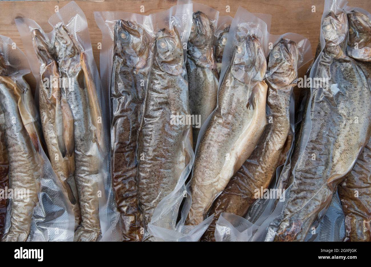 a freshly caught trout for eating, fish as part of a balanced diet