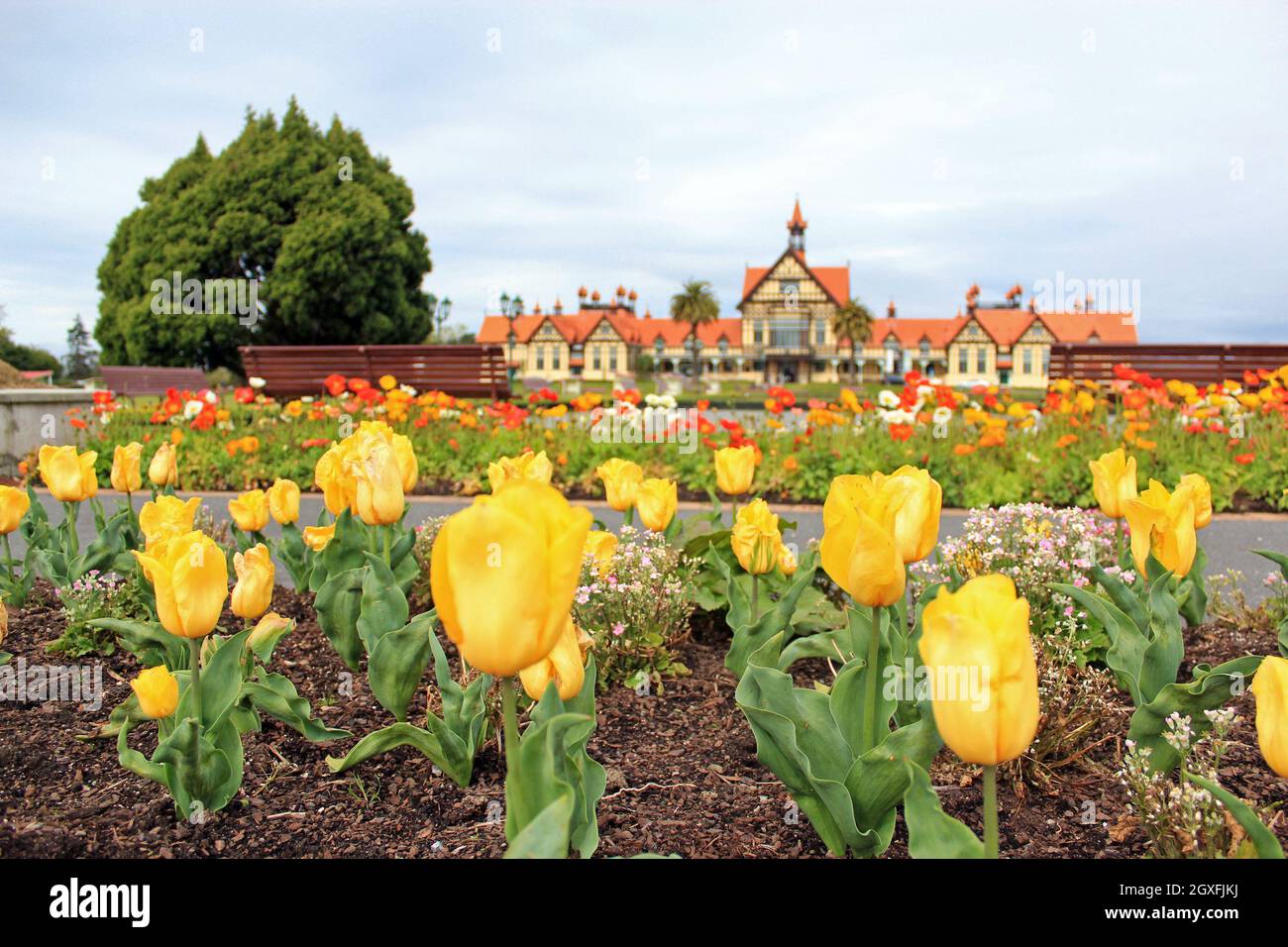 Government Garden at Rotorua, New Zealand. 17 Oct 2011 Stock Photo Alamy