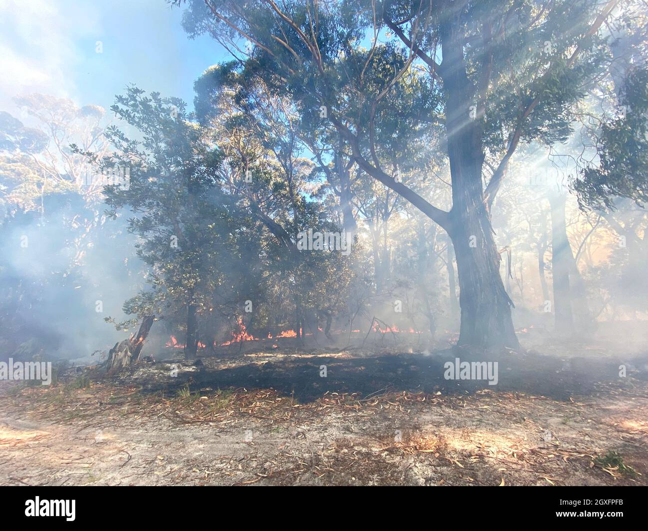 Smoke with sunlight from a bushfire in Australia Stock Photo - Alamy