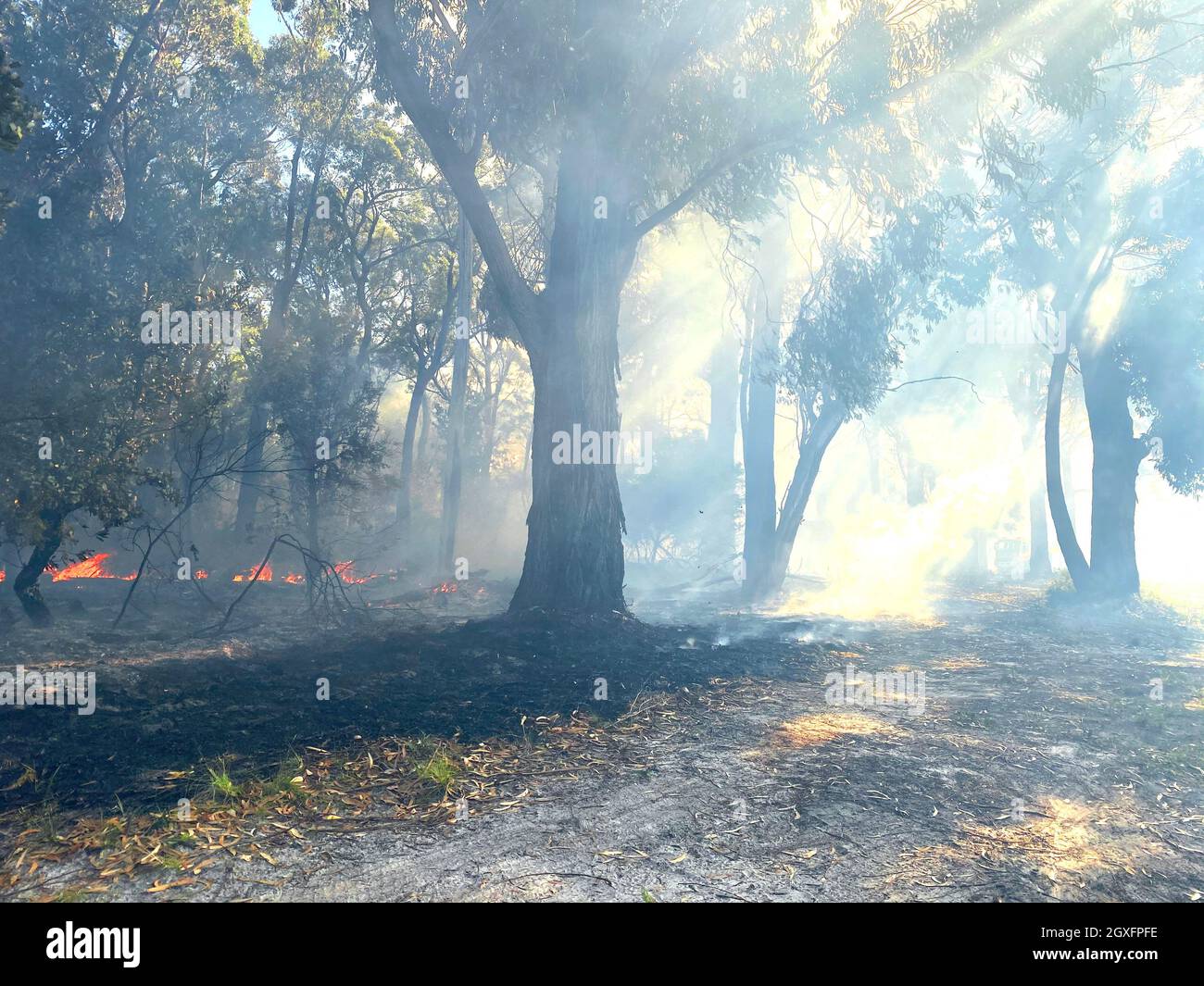 Smoke with sunlight from a bushfire in Australia Stock Photo - Alamy