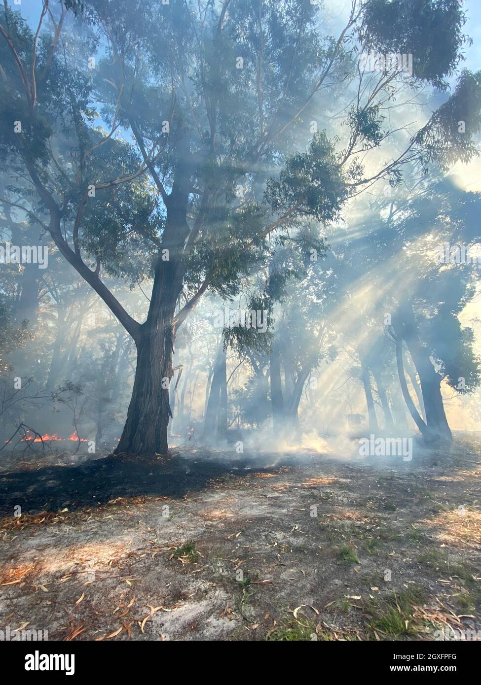 Smoke with sunlight from a bushfire in Australia Stock Photo - Alamy