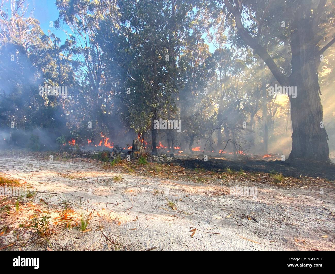 Smoke with sunlight from a bushfire in Australia Stock Photo - Alamy