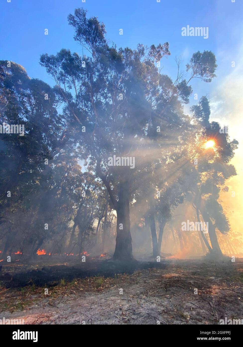 Smoke with sunlight from a bushfire in Australia Stock Photo - Alamy