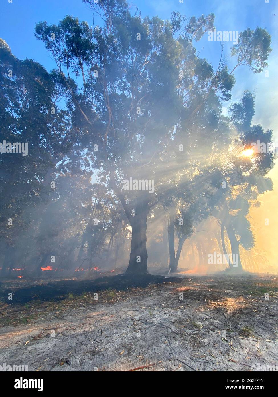 Smoke with sunlight from a bushfire in Australia Stock Photo - Alamy