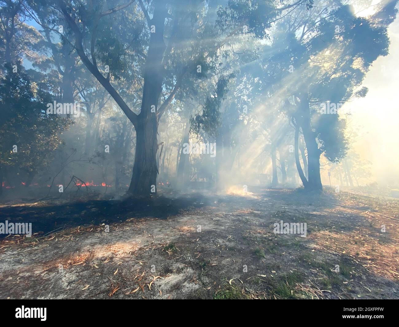 Smoke with sunlight from a bushfire in Australia Stock Photo - Alamy