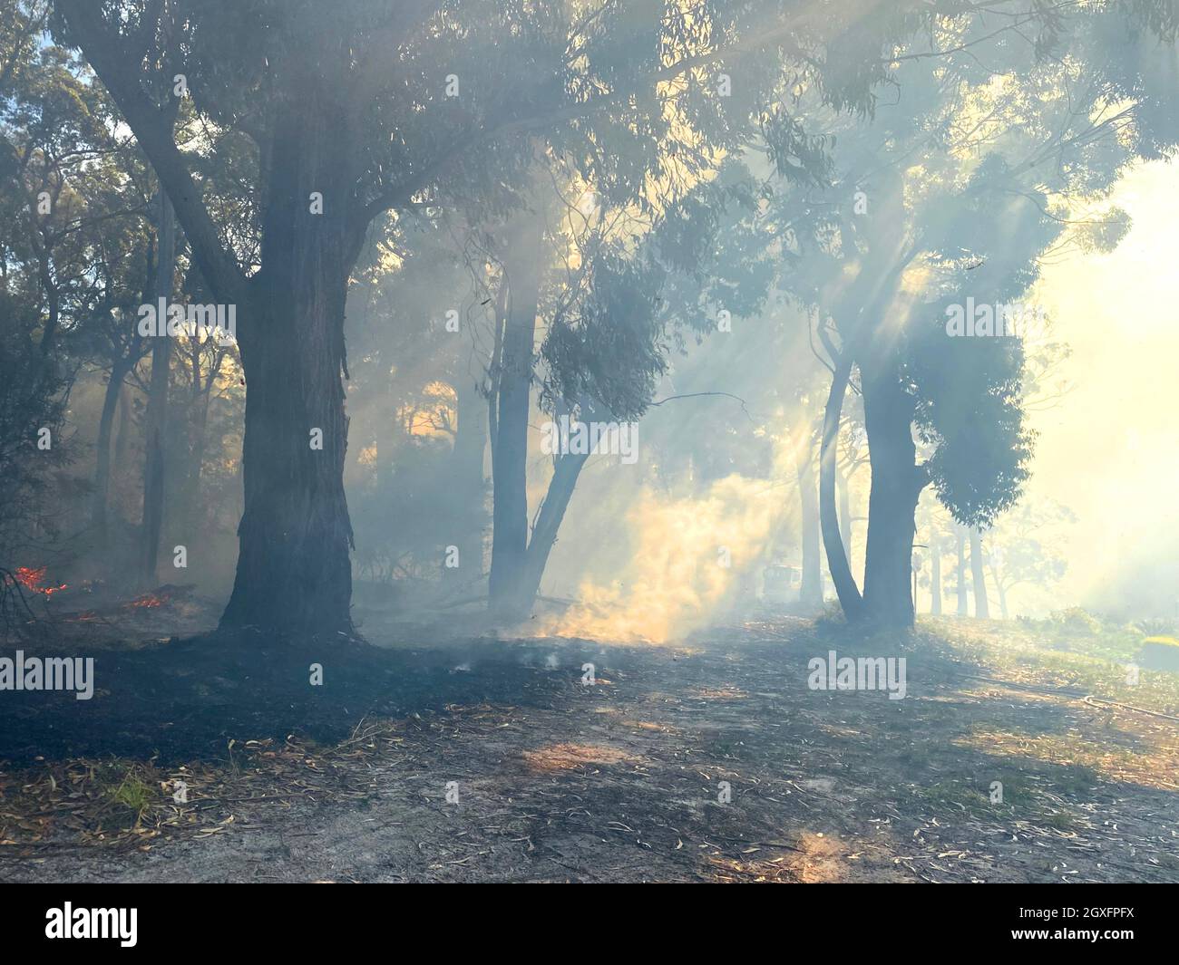 Smoke with sunlight from a bushfire in Australia Stock Photo - Alamy