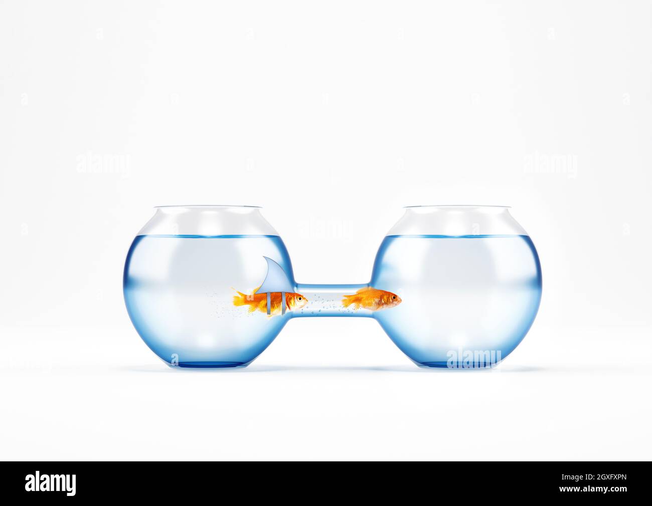 Fake shark wants to reach a fish but it cannot pass through the passage ...