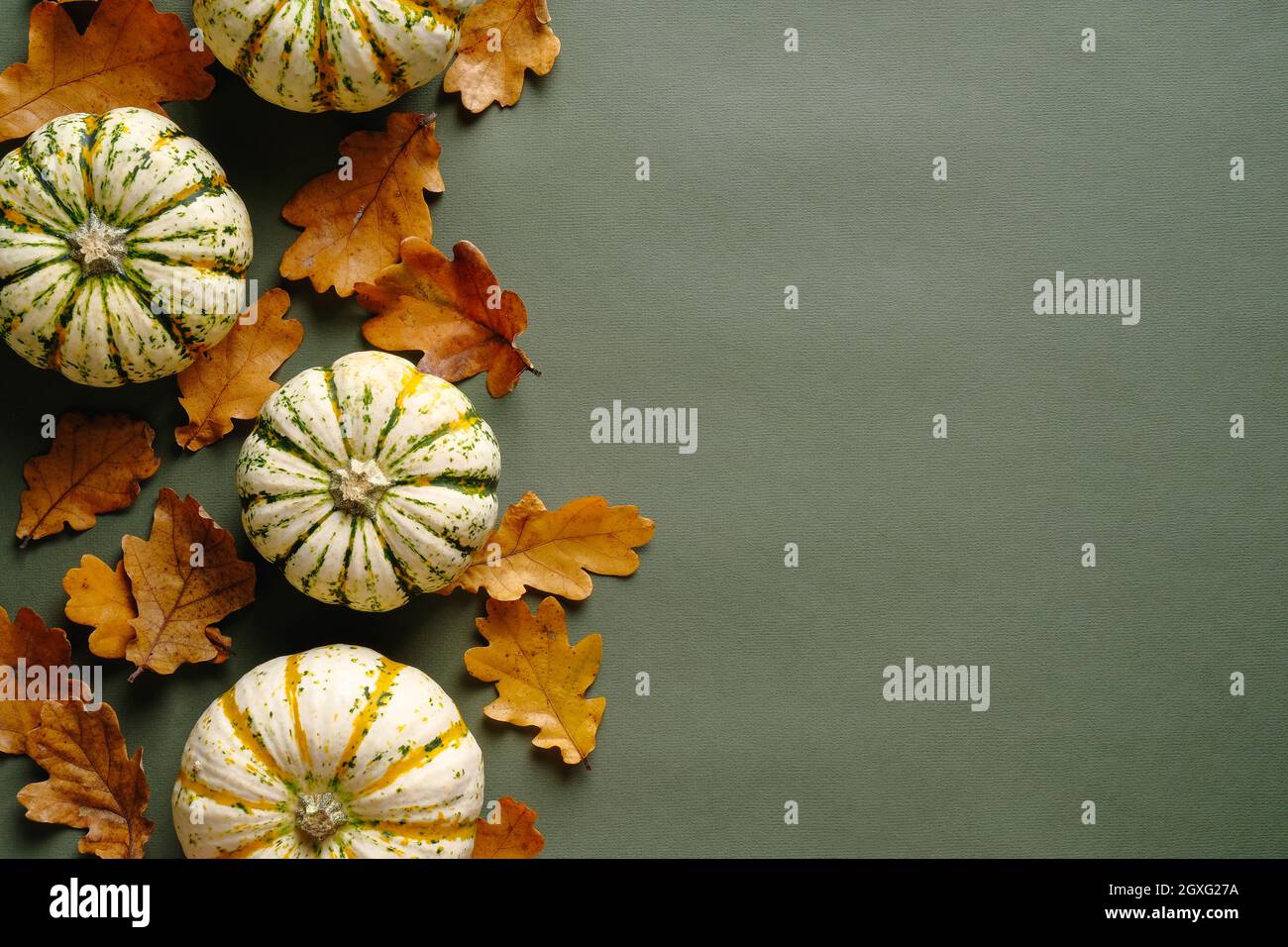Happy Thanksgiving day greeting card template. Pumpkins and dry oak ...