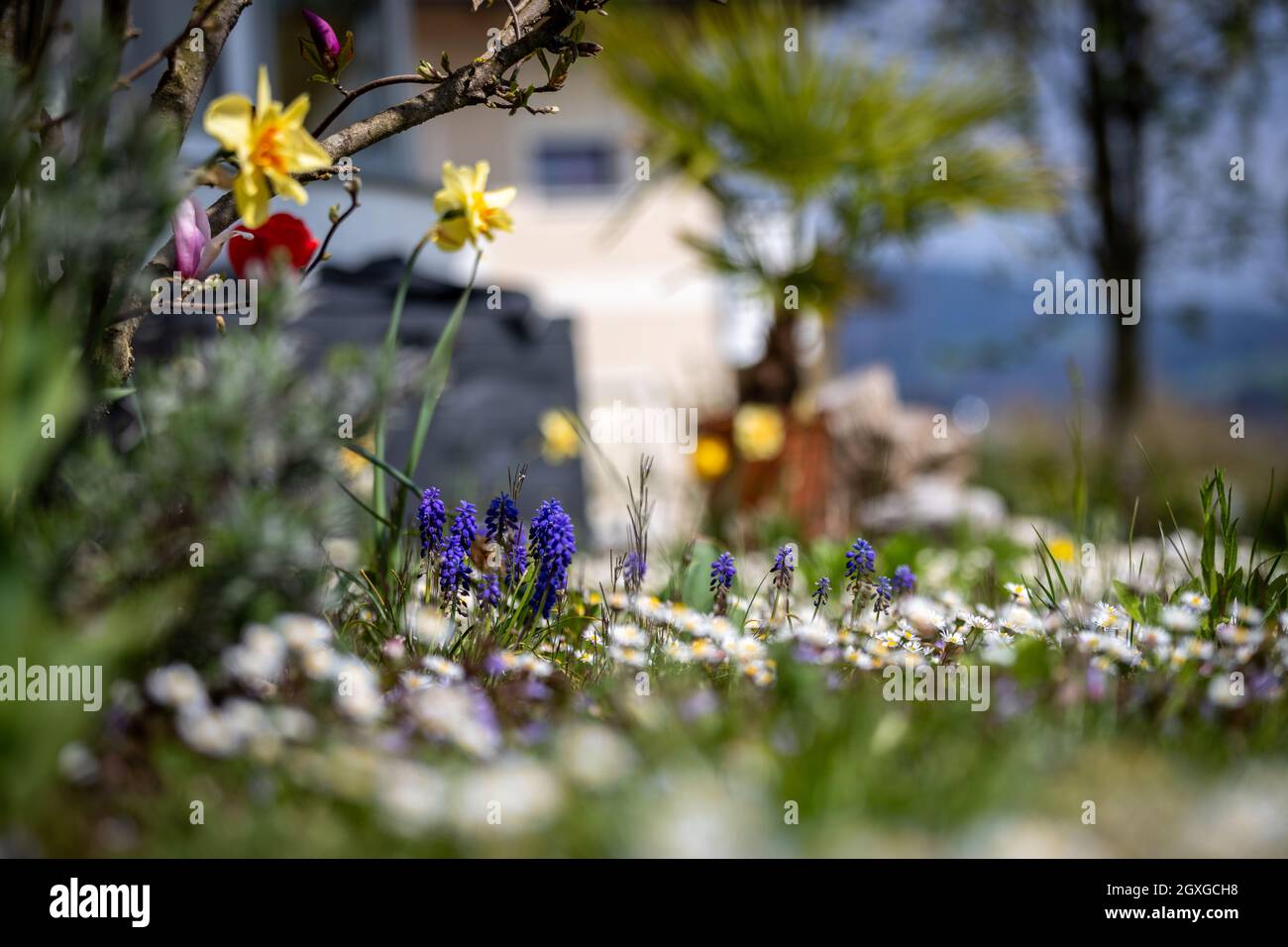 Innocent scenery hi-res stock photography and images - Alamy