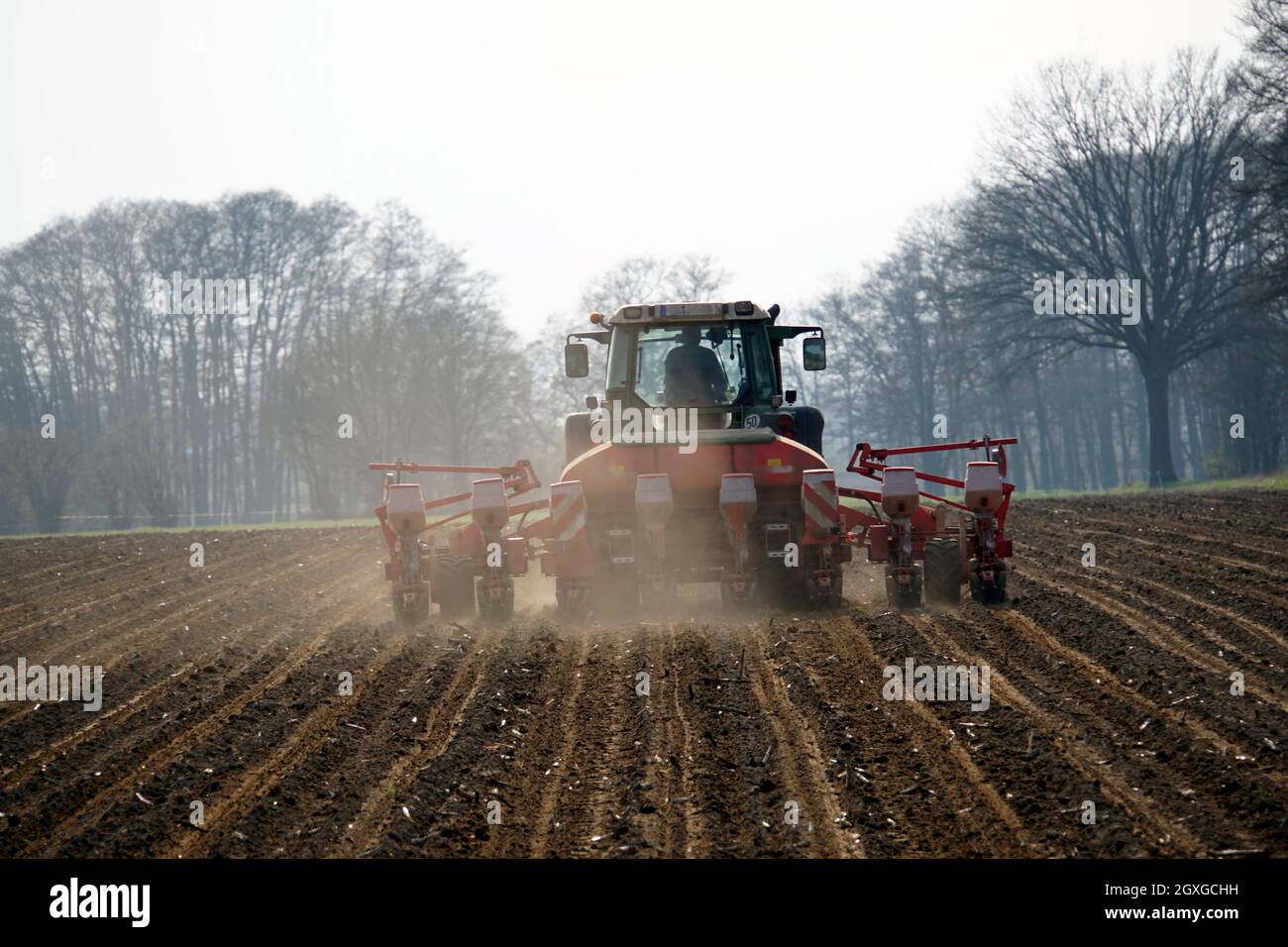 Landwirt bearbeitet mit einer achtreihigen Einkorn-Sämaschine das Feld, Oetzen, Niedersachsen, Deutschland Stock Photo