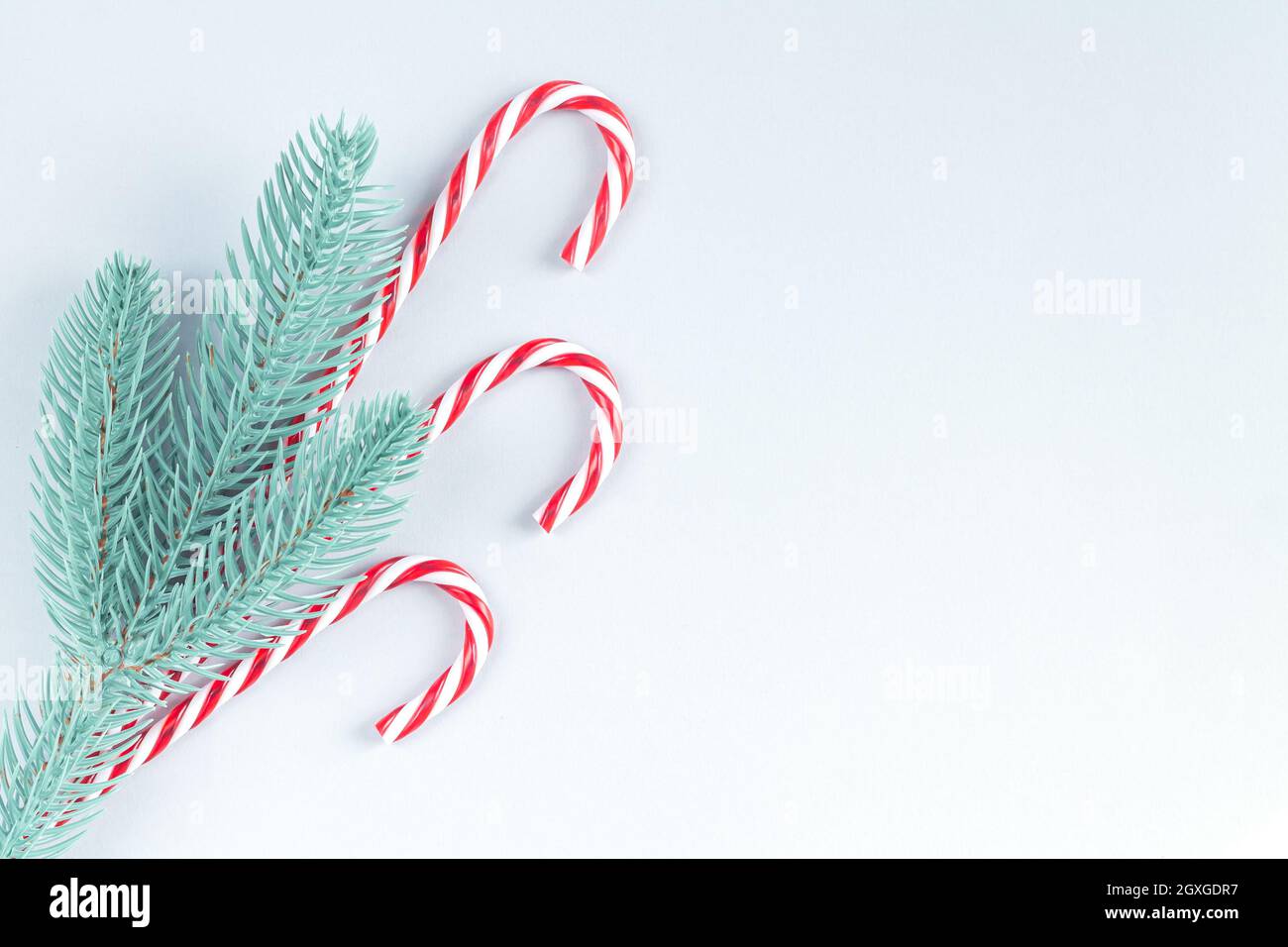 Christmas background with tree branch and traditional candycanes top