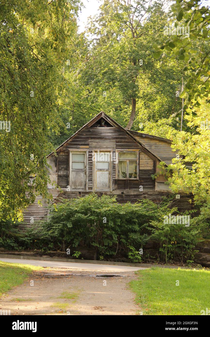 Exterior of an old abandoned wooden house in the background of green ...