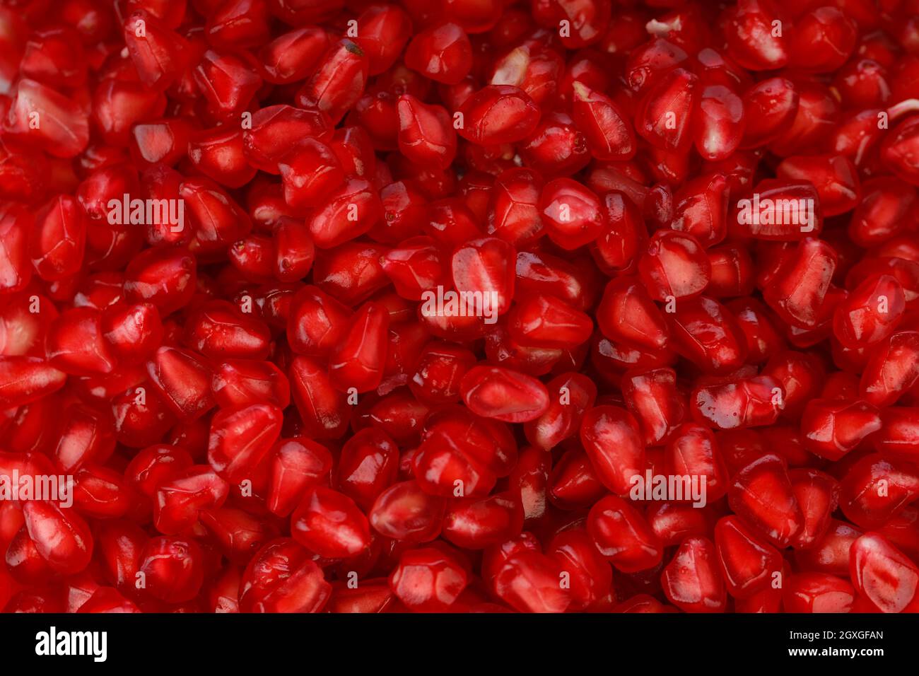 Fresh Pomegranate seed arranged in a square glass container with white background, isolated, close up. Stock Photo