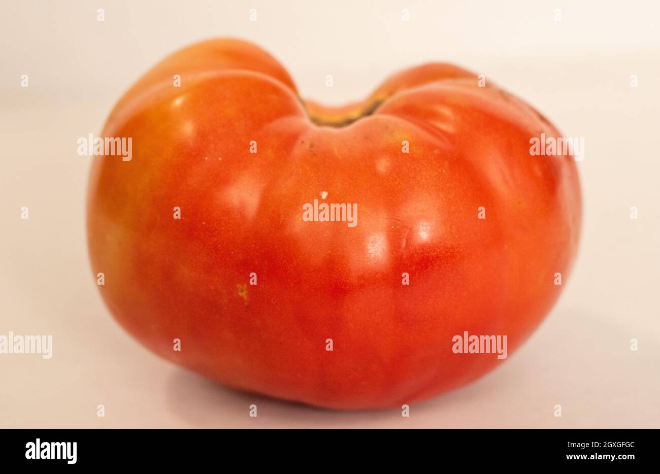 Tomato on a stark white background with studio lighting Stock Photo - Alamy