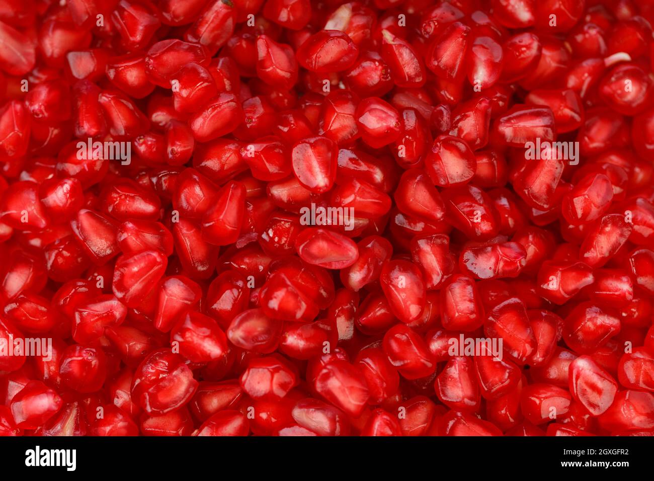 Fresh Pomegranate seed arranged in a square glass container with white background, isolated, close up. Stock Photo