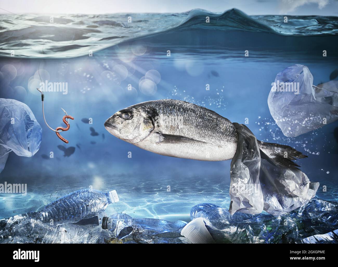 Fish bag float hi-res stock photography and images - Alamy
