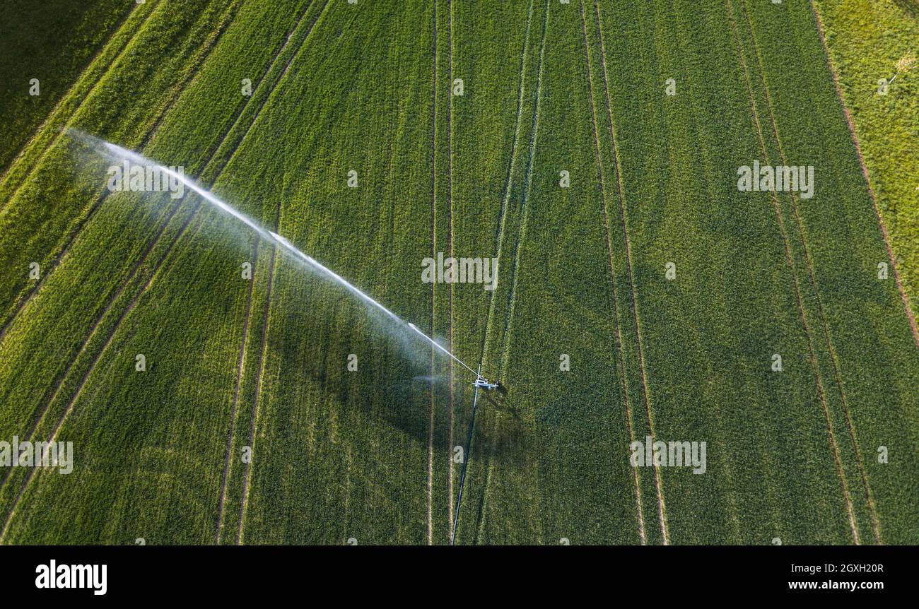 Farmland from above - aerial image of a lush green field being ...