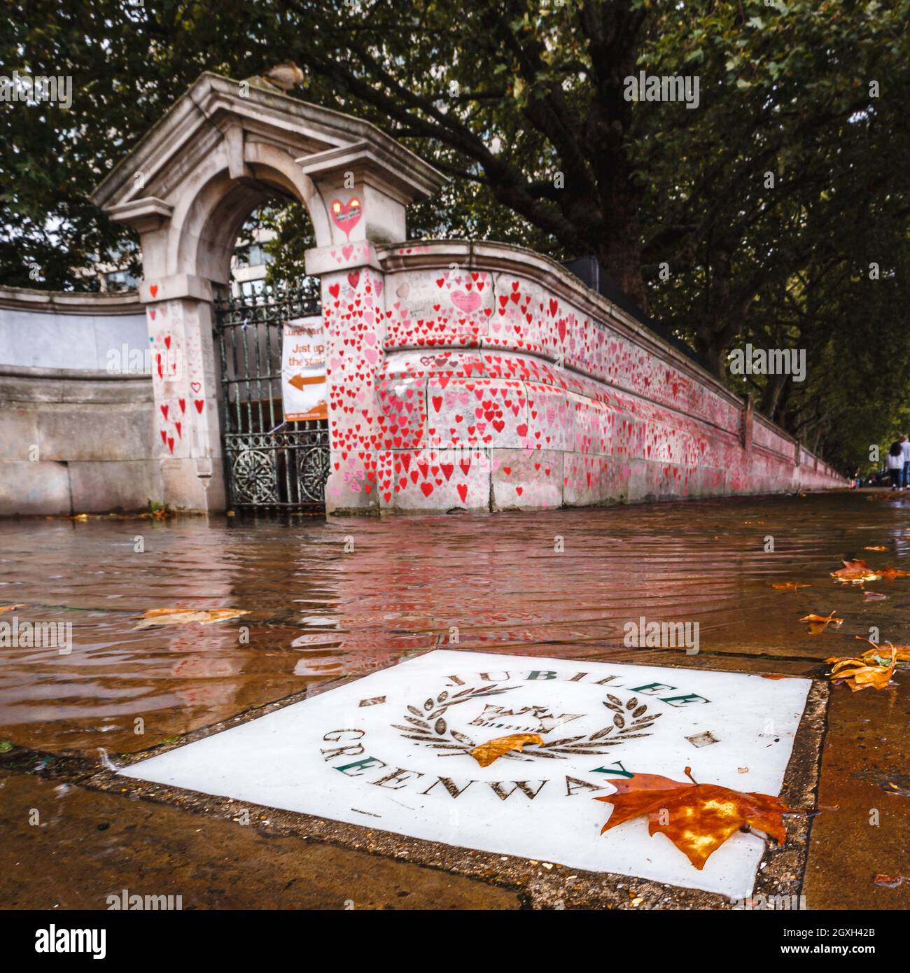Autumn leaves in the flooded pathway by the National Covid Memorial Wall in London. Stock Photo
