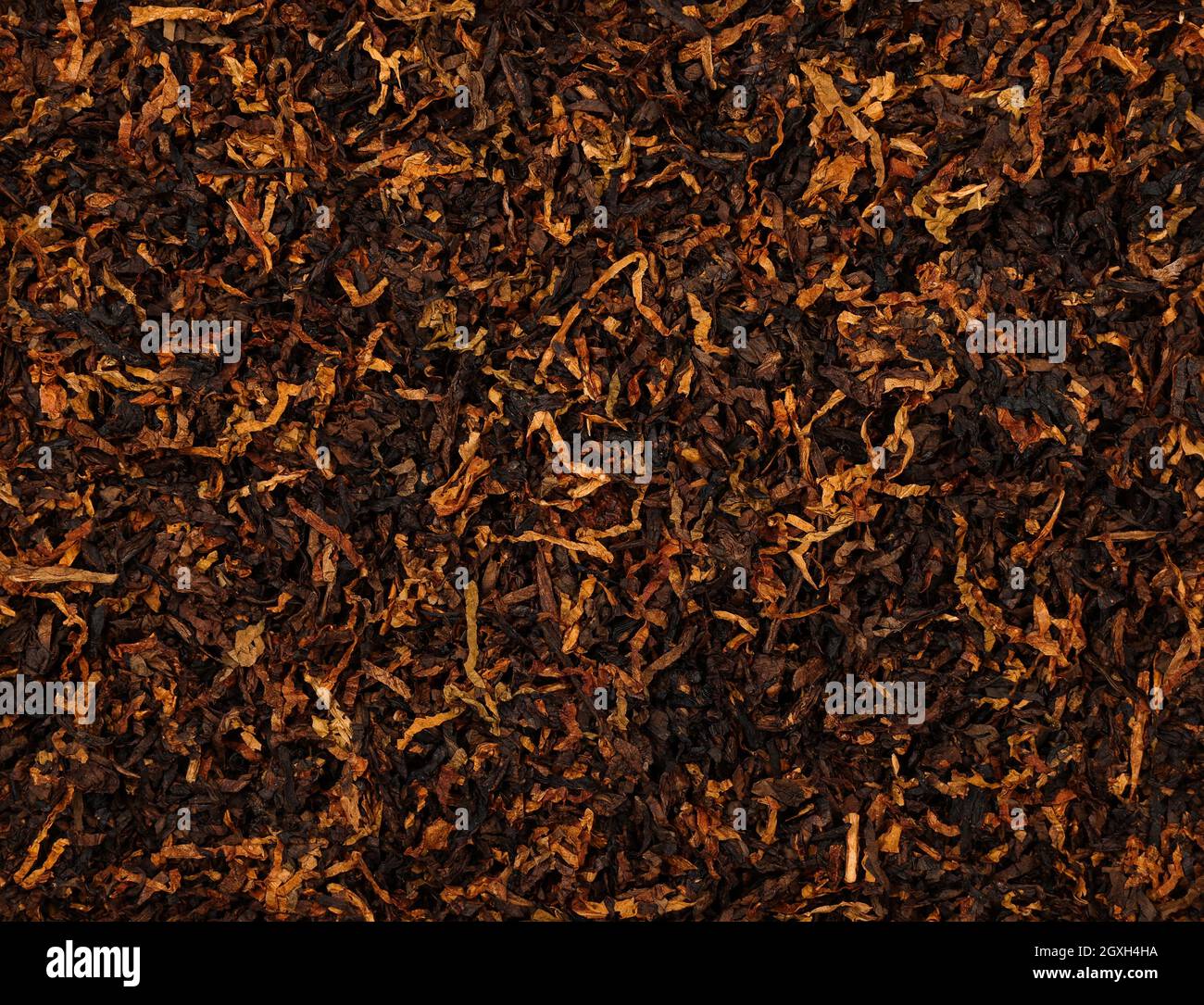 hopi tobacco seeds Hopi Native Rustica Tobacco Seed - 1,000 Seeds - Organic and Heirloom  Quality