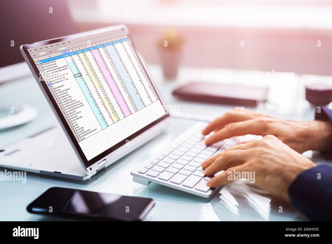 Analyst Auditor Using Electronic Spreadsheet On Hybrid Laptop Screen Stock Photo