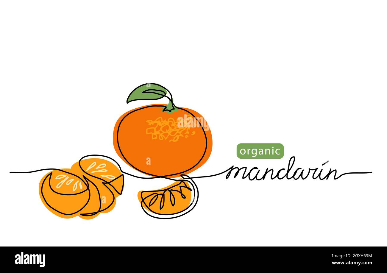Mandarin, tangerine vector illustration. One line art drawing with
