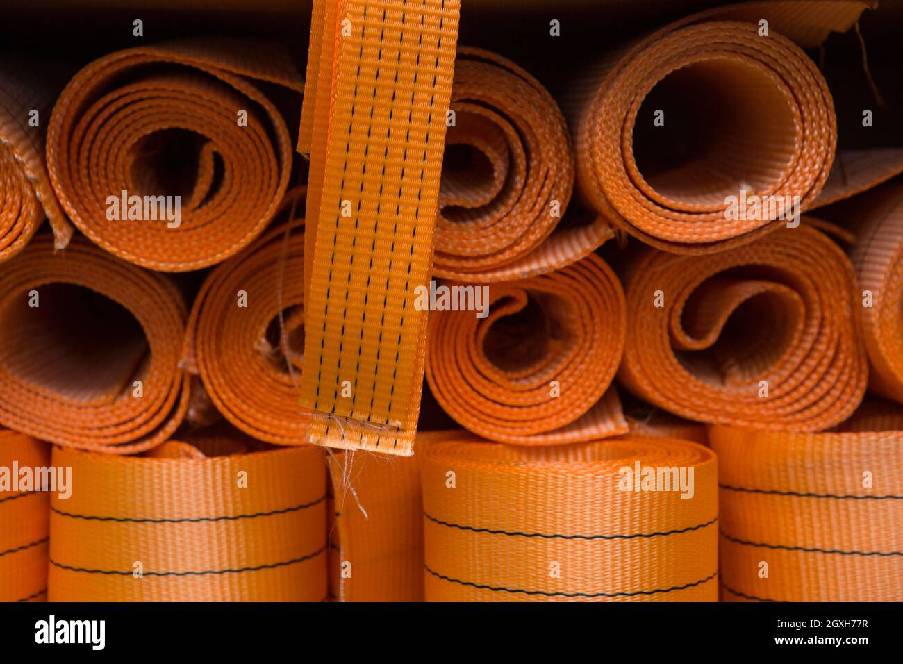 Industrial sewing machine sews a webbing sling. Manufacture of textile