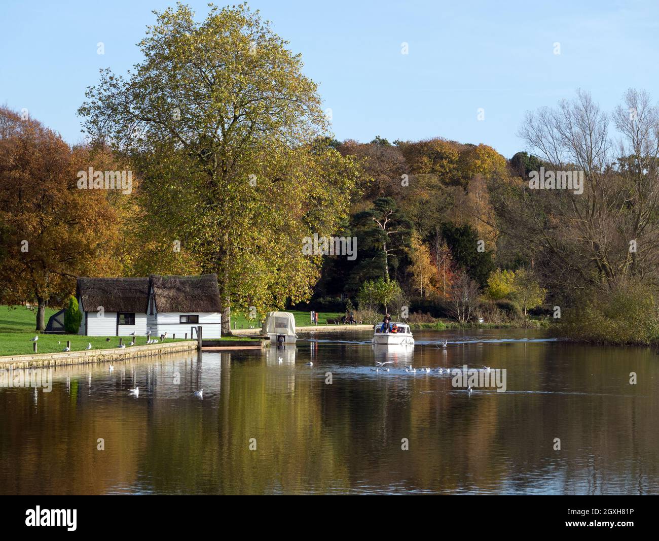 The Norfolk Broads in Autumn on The River Bure at Picturesque Coltishall Common, Coltishall, Norfolk, England, UK Stock Photo
