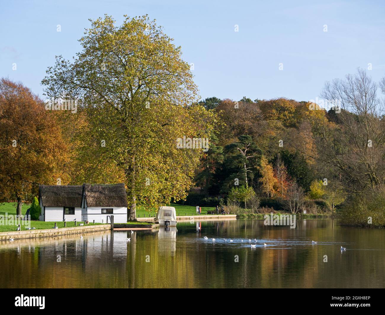 The Norfolk Broads in Autumn on The River Bure at Picturesque Coltishall Common, Coltishall, Norfolk, England, UK Stock Photo