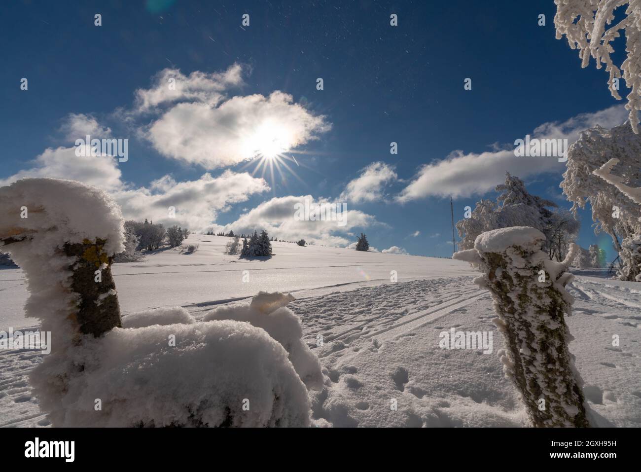 Beautiful winter wonderland in the mountains of Rhön with meadows and trees covered with snow and ice during a cold but sunny day in winter Stock Photo