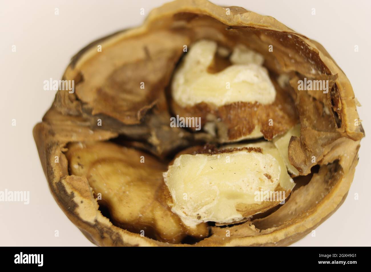 nut seed healthy natural food healthy shell Stock Photo - Alamy