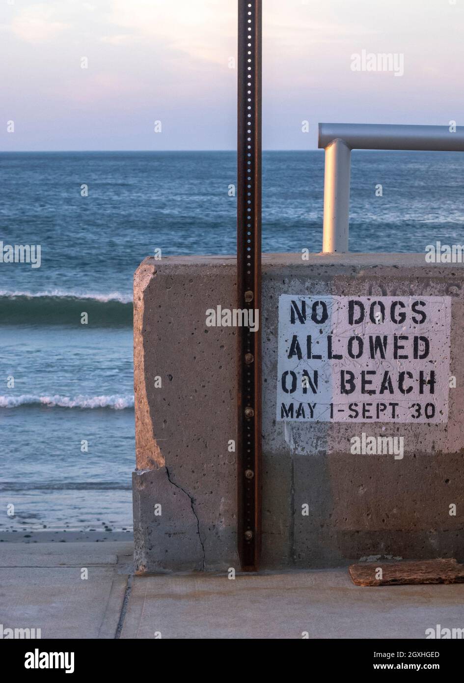 No Dogs Allowed on Beach sign at Quincy Shore Drive, Massachusetts